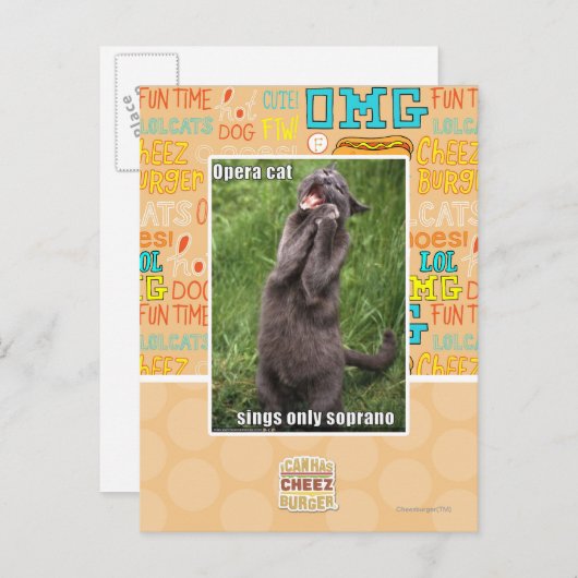 De Kat van de opera Briefkaart (Voorkant / Achterkant)