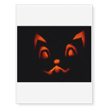 De Kat van de Pompoen van Halloween