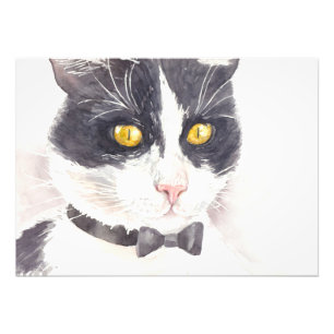 De kat van de smoking foto afdruk