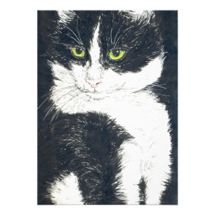 De kat van de smoking foto afdruk