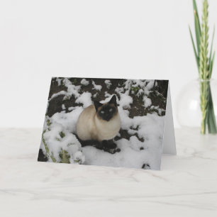 De Kat van de sneeuw Kaart