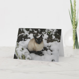 De Kat van de sneeuw Kaart