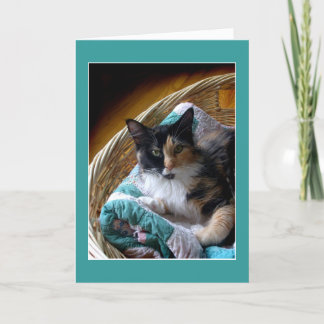 De kat van het calico in een van de mandgroet of kaart