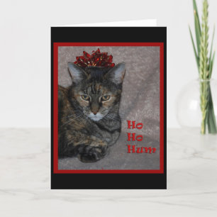 De Kat van het Gezoem van Ho van Ho Feestdagen Kaart