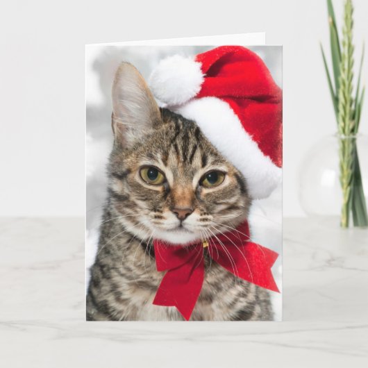 De kat van Kerstmis bij het pet van rode santa Feestdagen Kaart (Voorkant)