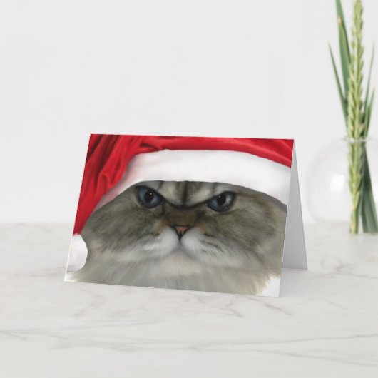 De kat van Kerstmis Feestdagen Kaart (Voorkant)
