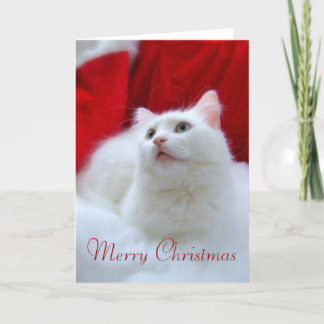 De Kat van Kerstmis Feestdagen Kaart