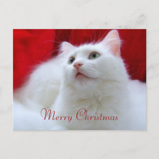 De Kat van Kerstmis Feestdagenkaart