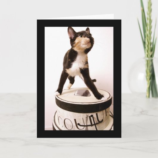 De Kat van kleermakerijen Kaart (Voorkant)