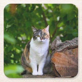 De Kat Vierkante Kartonnen Onderzetter