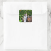 De Kat     Vierkante Sticker (Tas)