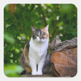 De Kat Vierkante Sticker