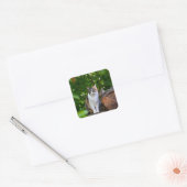 De Kat     Vierkante Sticker (Envelop)