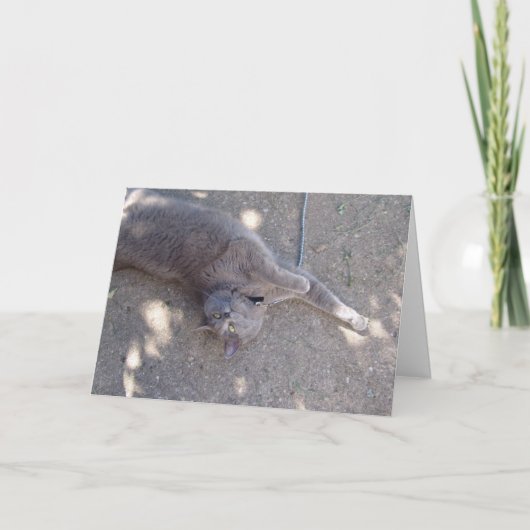 De kat wil verjaardagscake! kaart (Voorkant)