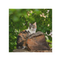 De kat-woodkunst