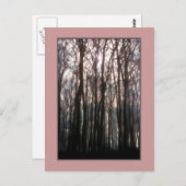 De kathedraal van het bos inspirerende foto briefkaart (Voorkant / Achterkant)