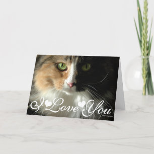 De Kat's Ogen Foto Afbeelding Ik Hou Van Jou Kaart