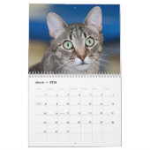 De Katten Cradle Shelter 2014 Agenda Kalender (Mar 2026)