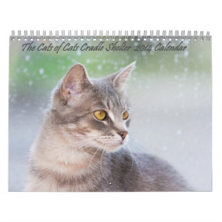 De Katten Cradle Shelter 2014 Agenda Kalender