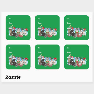 De katten en bemanning kerstlabels vierkante sticker