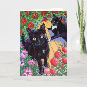De Katten van Heartland Kaart