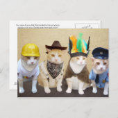 De Katten van het dorp Briefkaart (Voorkant / Achterkant)