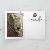 De Katten van het wenskaart Kaart (Binnen)