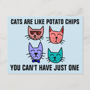 DE KATTEN ZIJN ALS KAARTCHIPS U KUNT NIET SLECHTS  BRIEFKAART