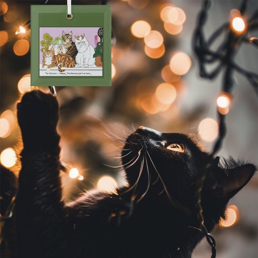 De katten zijn in functie glas ornament