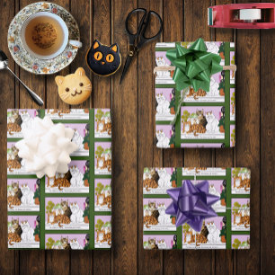 De katten zijn in functie inpakpapier vel