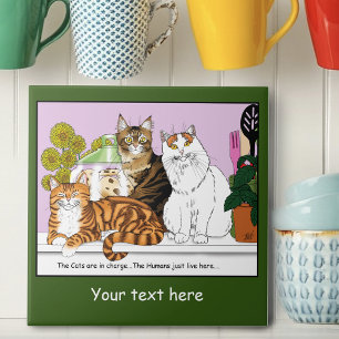 De katten zijn in functie tegeltje