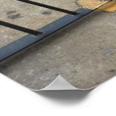 De kattengevangene poster (Hoek)