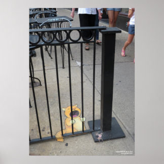 De kattengevangene poster