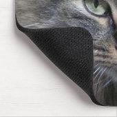 De kattenogen hebben het muismat (Hoek)