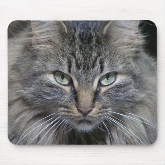 De kattenogen hebben het muismat (Voorkant)