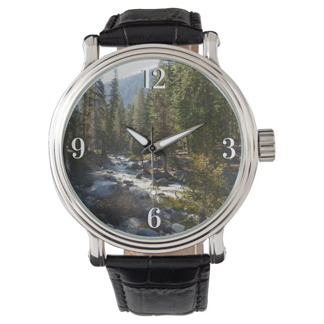 De Kaweah-rivier in het natuurpark Sequoia Horloge (Voorkant)