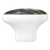 De Kaweah-rivier in het natuurpark Sequoia Keramische Knop (Zijkant)