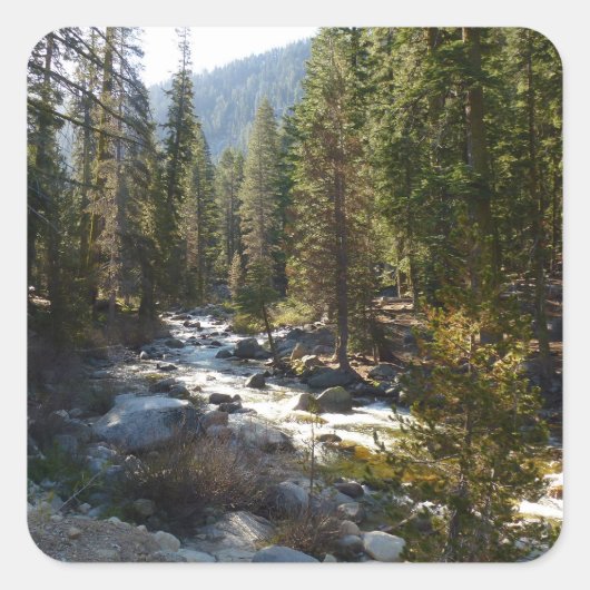 De Kaweah-rivier in het natuurpark Sequoia Vierkante Sticker (Voorkant)
