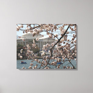 De Kersenbloesems in bloei in Washington DC Canvas Afdruk