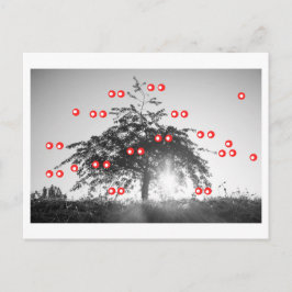De Kersenboom Briefkaart