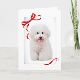 De Kerstkaart van Bichon Feestdagen Kaart