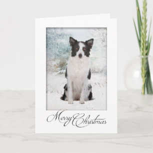 De Kerstkaart van border collie Feestdagen Kaart