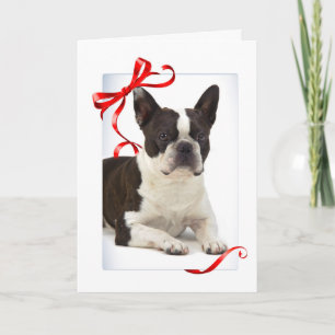 De Kerstkaart van Boston Terrier Feestdagen Kaart