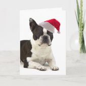De Kerstkaart van Boston Terrier van de kerstman Feestdagen Kaart (Voorkant)