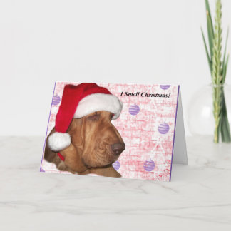 De Kerstkaart van de bloedhond Feestdagen Kaart