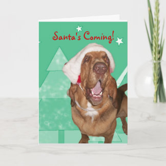 De Kerstkaart van de bloedhond Feestdagen Kaart