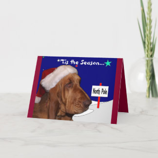 De Kerstkaart van de bloedhond Feestdagen Kaart