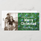 De Kerstkaart van de Foto van de Veer van de pauw (Voorkant / Achterkant)