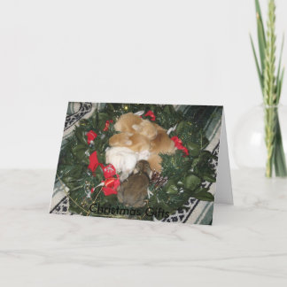 De Kerstkaart van de Giften van Kerstmis Feestdagen Kaart