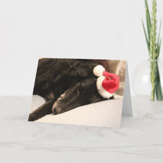 De Kerstkaart van de Hond van de redding Feestdagen Kaart